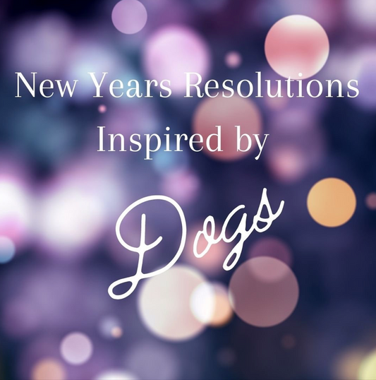 New Years Resolutions Inspired by Dogs