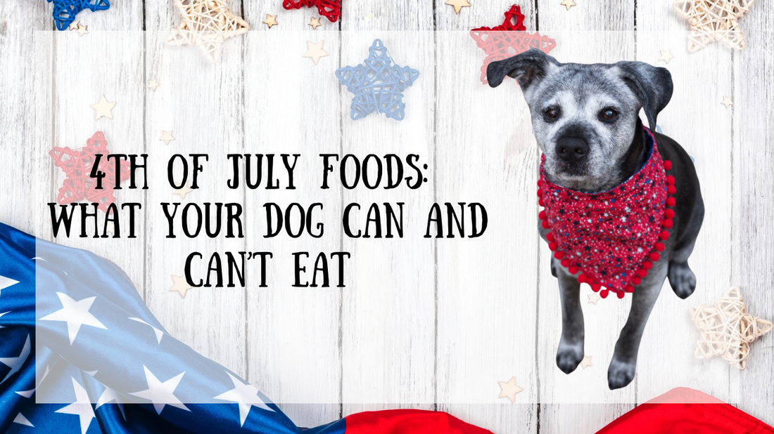 4th of July Foods: What Your Dog Can and Can’t Eat