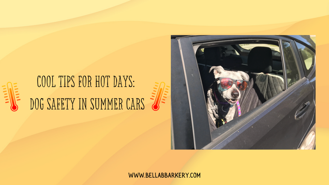 Cool Tips for Hot Days: Dog Safety in Summer Cars