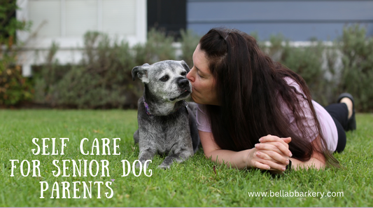 Self Care for Senior Dog Parents