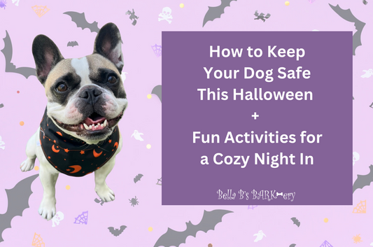 How to Keep Your Dog Safe This Halloween + Fun Activities for a Cozy Night In