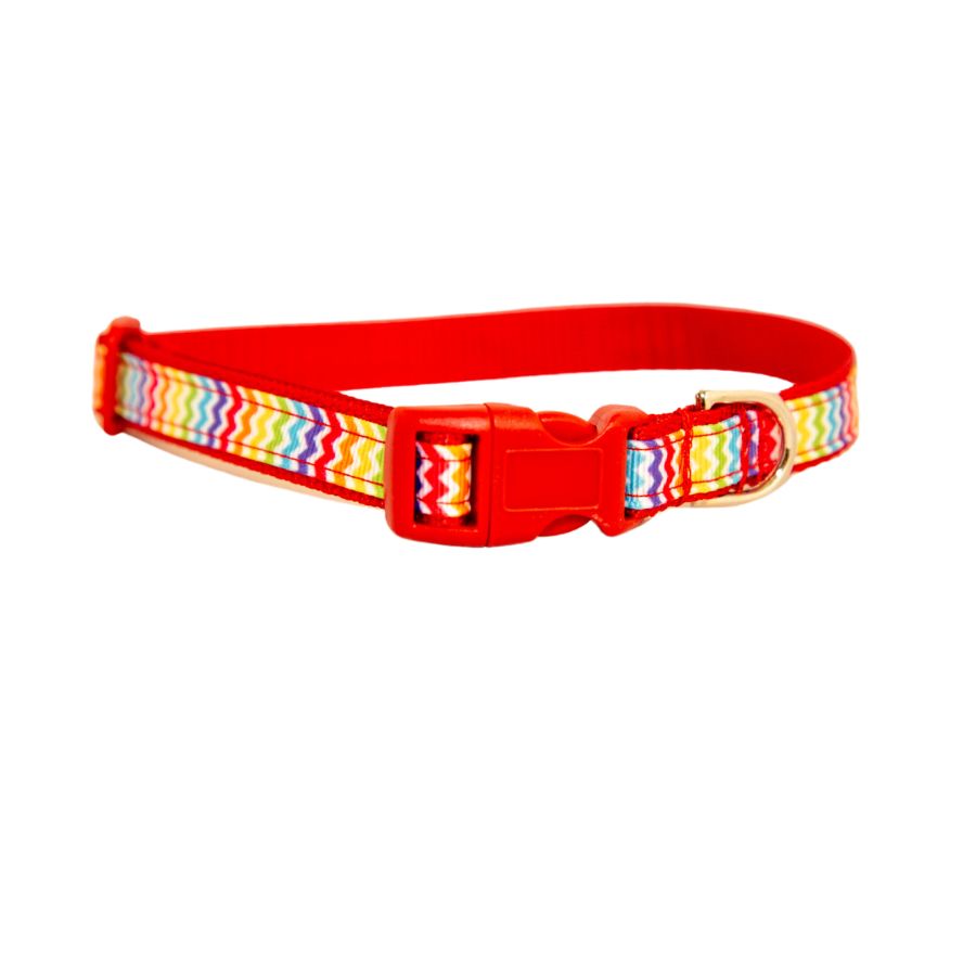 Rainbow Chevron Dog Collar 1/2"