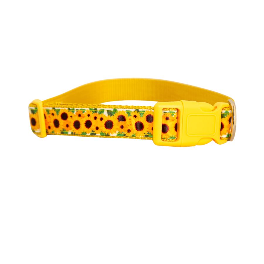 Sunflower Dog Collar 1"