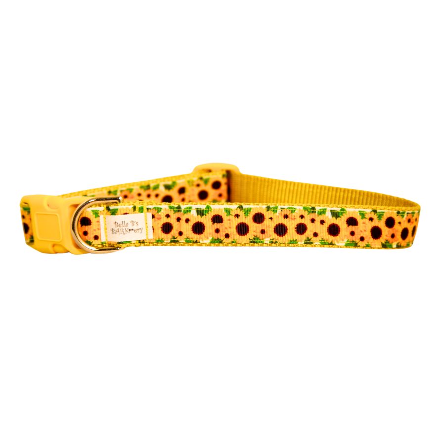 Sunflower Dog Collar 1"