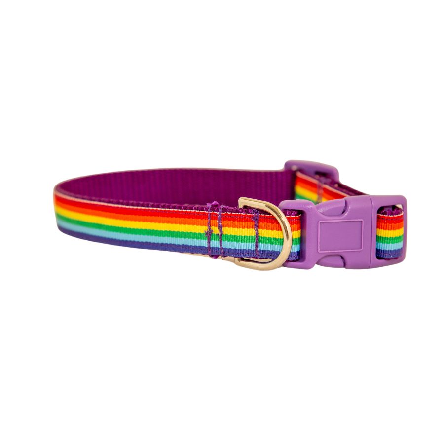 Rainbow Dog Collar 3/4"