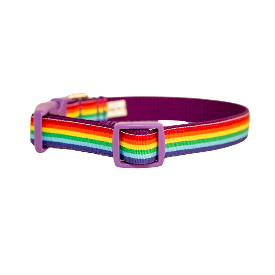 Rainbow Dog Collar 3/4"