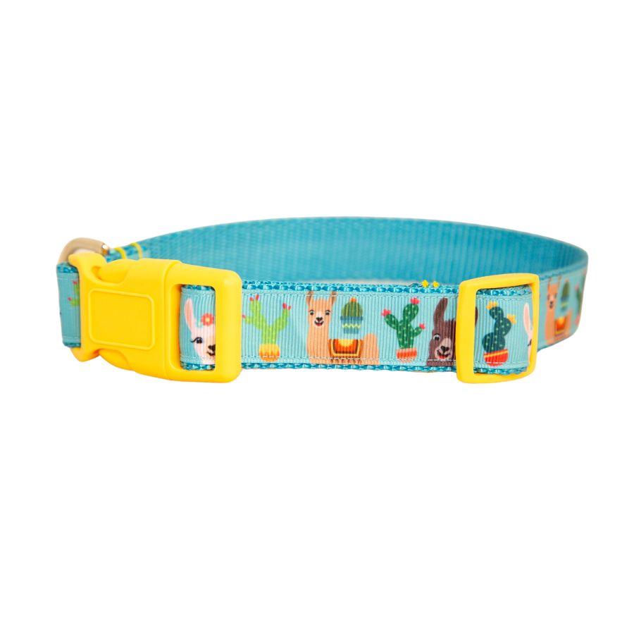 Llama Dog Collar 1"