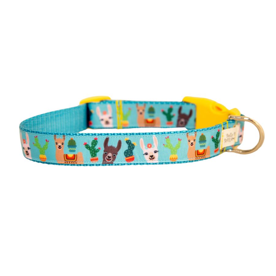 Llama Dog Collar 1"