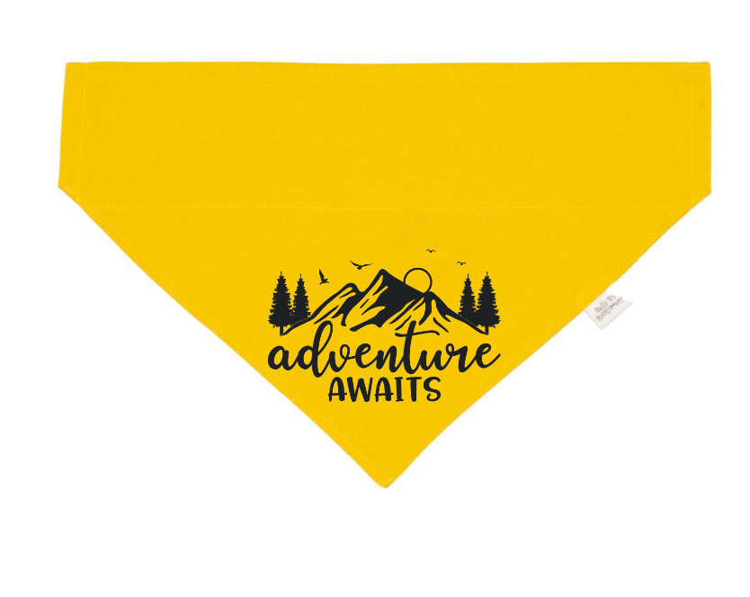 Adventure Awaits Dog Bandana