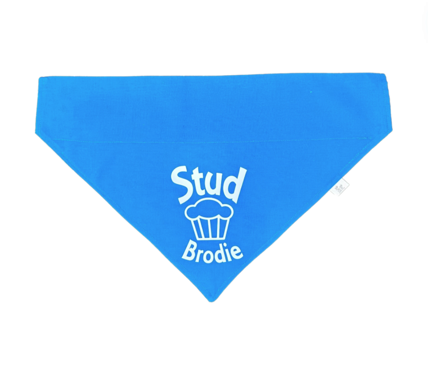 Stud Muffin Dog Bandana - Solid Colors