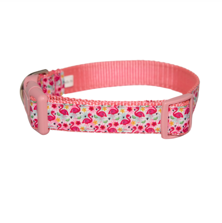 Flamingo Dog Collar