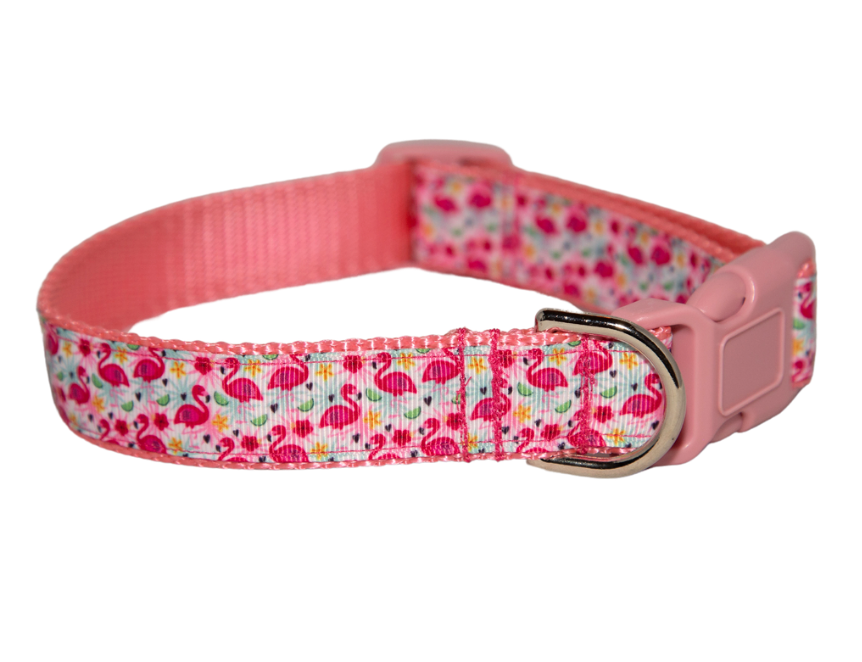 Flamingo Dog Collar