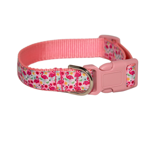 Flamingo Dog Collar