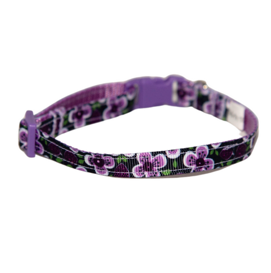 Little Violets Dog Collar