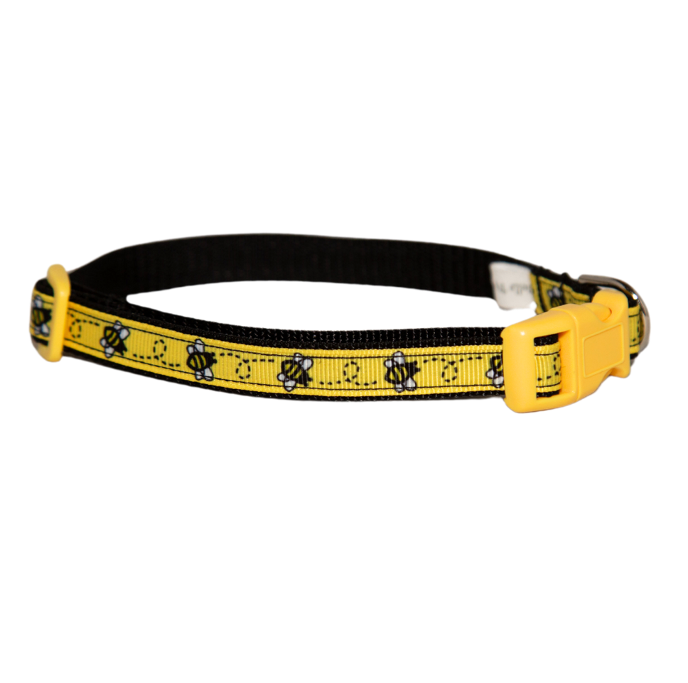 Little Bee's Dog Collar