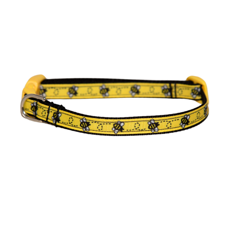 Little Bee's Dog Collar