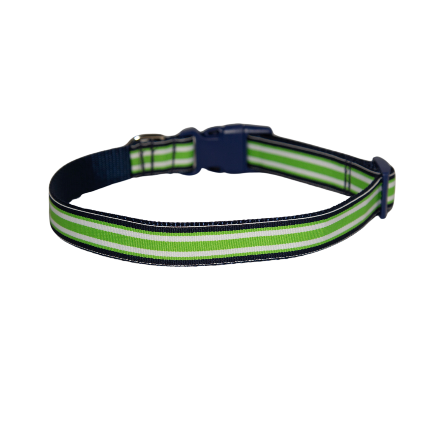 Blue and Green Stripe Dog Collar