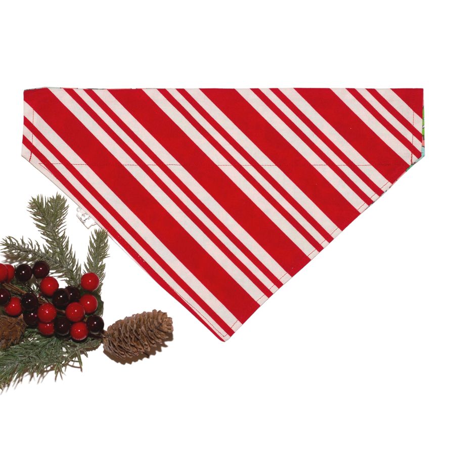 Holiday Dinosaurs/Candy Cane  Reversible Personalized Dog Bandana